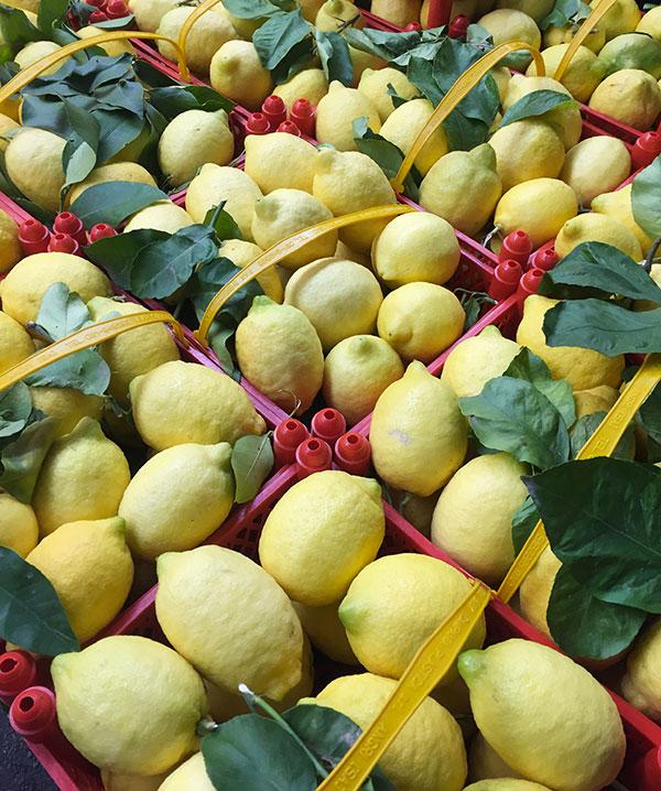 Limoni al naturale